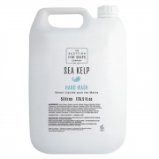 SEA KELP HAND SOAP 5L
